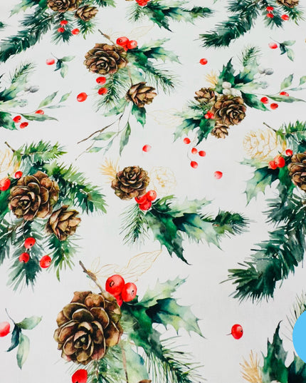 Panama digitale Natale