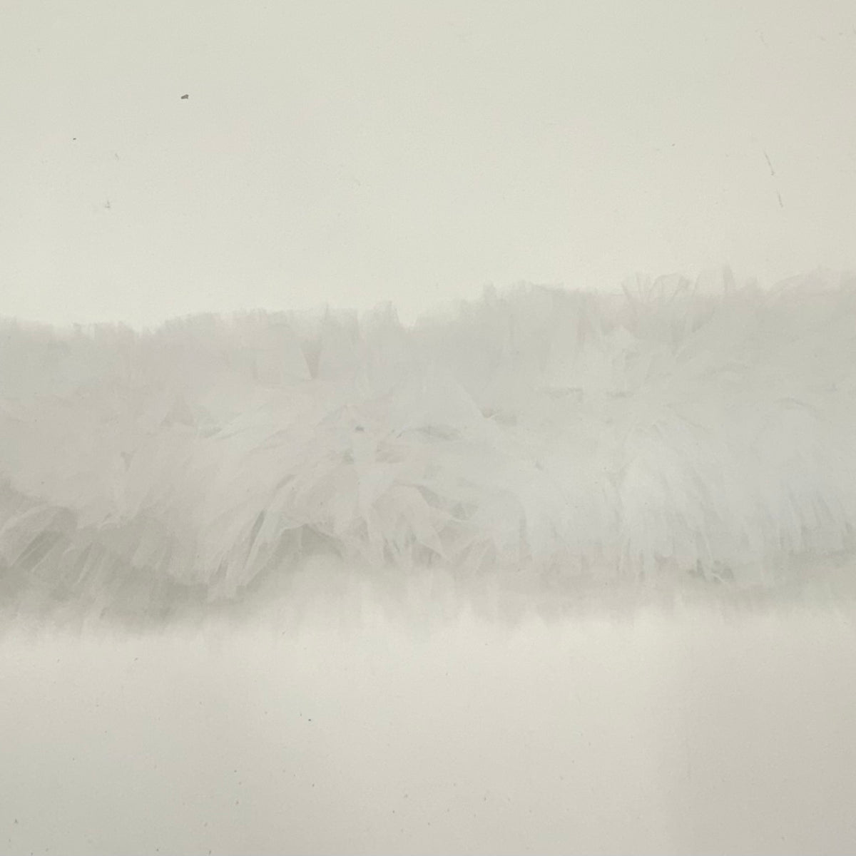 Tulle Big Babol