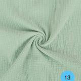 13 salvia